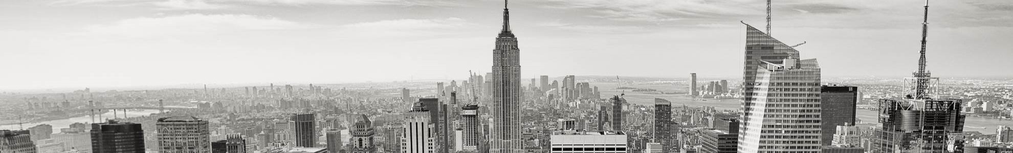A panoramic view of the new york skyline and the empire state building